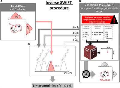 Robust Estimation of Absorbing Root Surface Distributions From Xylem Water Isotope Compositions With an Inverse Plant Hydraulic Model